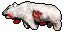 Image of the corpse from Polar Bear